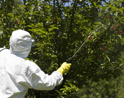 <p style="font-family: 'Poppins', sans-serif; font-weight: 700; font-size:24px;">PESTICIDE APPLICATION </p>